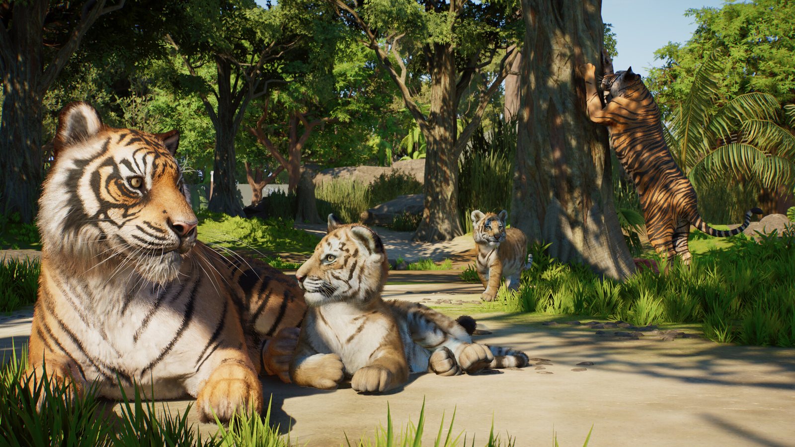 Tiger family resting near a tree
